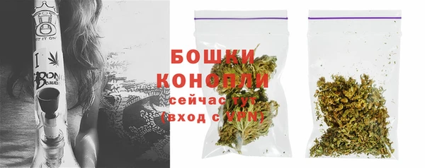 эйфоретик Краснослободск