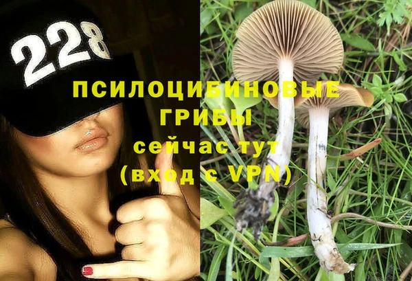 эйфоретик Краснослободск