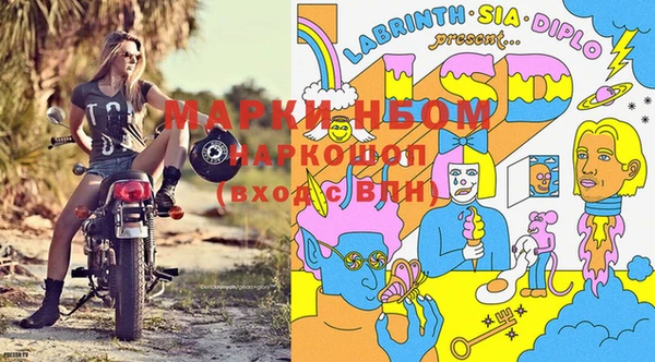 эйфоретик Краснослободск