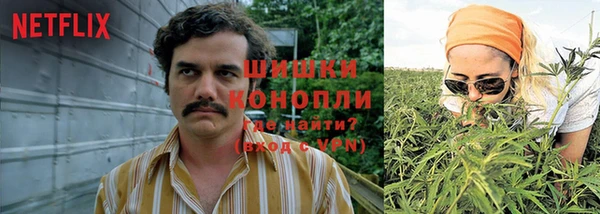 эйфоретик Краснослободск