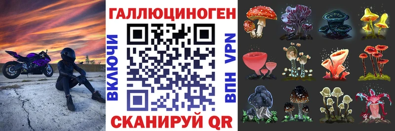 Псилоцибиновые грибы MAGIC MUSHROOMS  blacksprut ТОР  Щёлково 